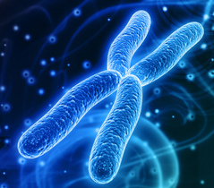 Фото: Синдром Тернера